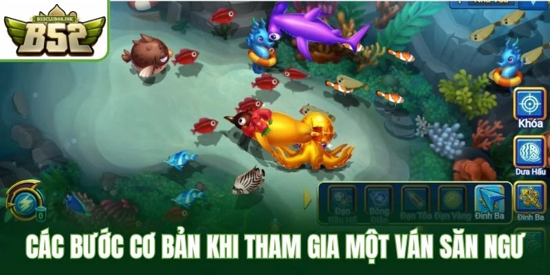 Các bước cơ bản khi tham gia một ván săn ngư