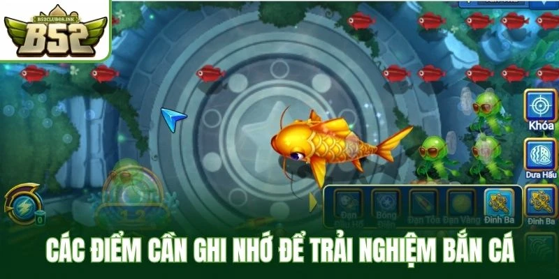 Các điểm cần ghi nhớ để trải nghiệm bắn cá