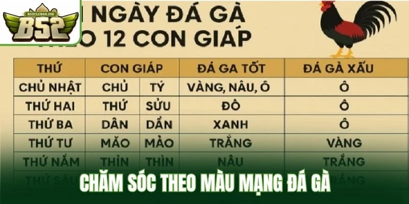 Chăm sóc theo màu mạng đá gà