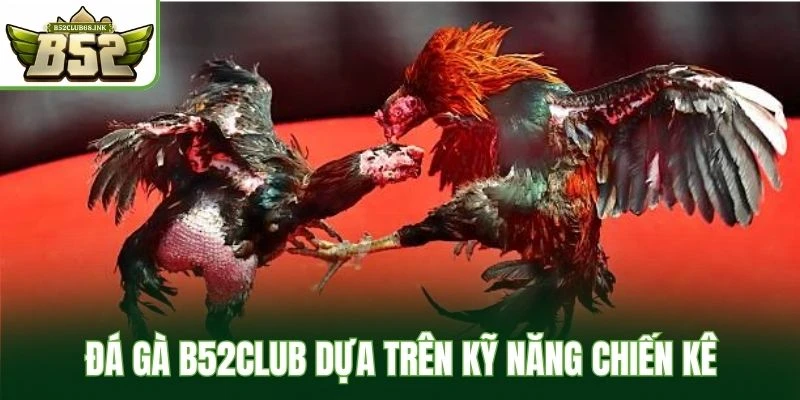 Đá gà B52Club truyền thống dựa trên kỹ năng chiến kê