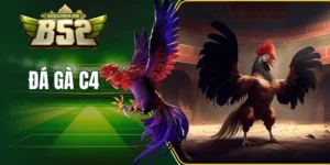 đá gà C4