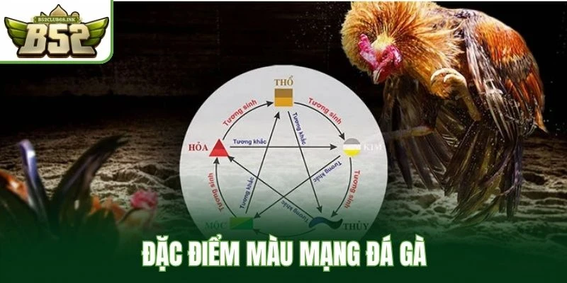 Đặc điểm màu mạng đá gà