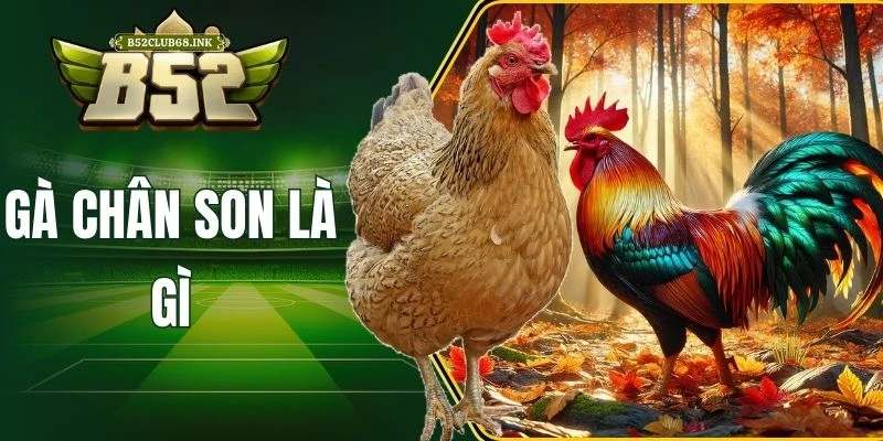 Gà chân son là gì