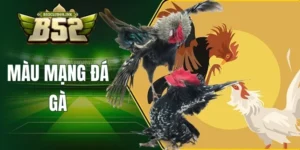 Màu mạng đá gà