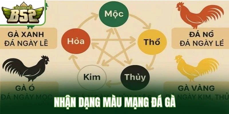 Nhận dạng màu mạng đá gà