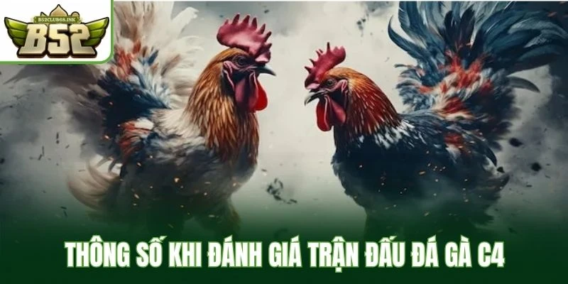 Thông số khi đánh giá trận đấu đá gà C4